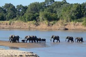 Discover South Luangwa NP